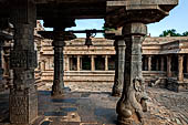 The great Chola temples of Tamil Nadu - The Airavatesvara temple of Darasuram. The peripheral columns of the  mandapa with seated yalis at the base. 